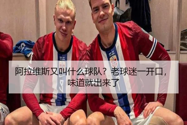 阿拉维斯又叫什么球队？老球迷一开口，味道就出来了